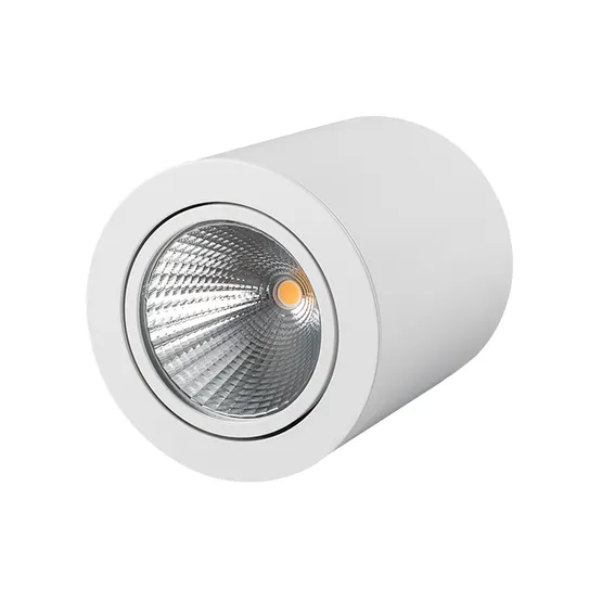 Фото #6 товара Светильник SP-FOCUS-R120-16W Day White (Arlight, IP20 Металл, 3 года)