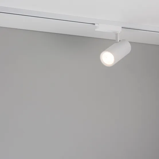 Фото #5 товара Светильник LGD-GERA-2TR-R74-20W Warm3000 (WH, 55 deg, 230V) (Arlight, IP20 Металл, 5 лет)