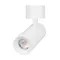 Минифото #1 товара Светильник SP-ARTEMIS-SURFACE-FLAP-R55-12W Warm2700 (WH, 8-80 deg, 230V) (Arlight, IP20 Металл, 5 лет)