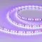 Минифото #1 товара Светодиодная лента RT-A120-8mm 12V UV400 (9.6 W/m, IP20, 2835, 5m) (Arlight, Открытый)