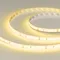 Минифото #1 товара Светодиодная лента герметичная RTW-SE-A120-8mm 24V Yellow (9.6 W/m, IP65, 2835, 5m) (Arlight, 9.6 Вт/м, IP65)
