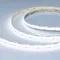 Минифото #1 товара Светодиодная лента COB-X576-10mm 24V White6000 (15 W/m, IP20, 5m) (Arlight, высок.эфф.150 лм/Вт)