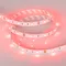 Минифото #2 товара Светодиодная лента RT 2-5000 12V Red (5060, 150 LED, LUX) (Arlight, 7.2 Вт/м, IP20)